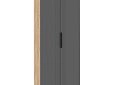 Шкаф распашной Астрис-1 Графит