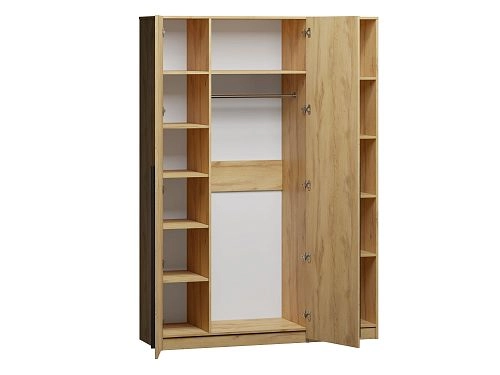 Шкаф распашной Лорена Пакс-2.1 Дуб Золотистый - фото 3