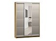 Шкаф-купе Борнео-3.4 Дуб Золотистый/Серебро