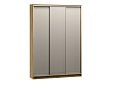 Шкаф-купе Борнео-3.1 Дуб Золотистый
