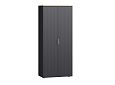 Шкаф распашной Салерно 2 Графит