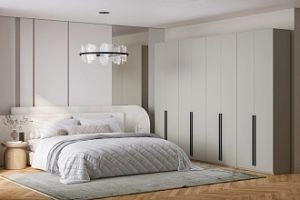 Хейсон-19 Кашемир