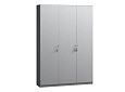 Шкаф распашной Монтана-3 Стальной Серый