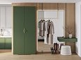 Шкаф распашной Ливан-2 Шарли Green