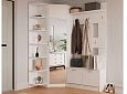 Прихожая Ольга-16 Белый
