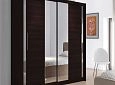 Шкаф-купе Амадеус-7