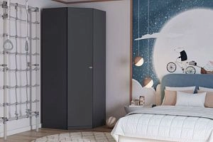 Стрекоза Графит