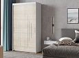 Шкаф-купе Валмиера-2