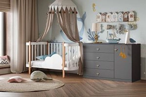 Стрекоза-2 Графит