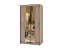 Шкаф-купе Риф-2 (зеркало) вариант 4 (37ср)