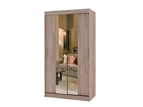 Шкаф-купе Риф-2 (зеркало) вариант 4 (37ср) - фото 1