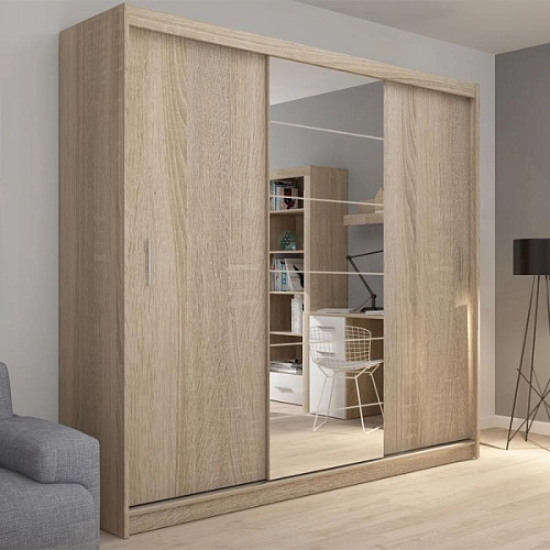 Шкаф-купе Амадеус-1 - фото 1