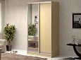 Шкаф-купе Антонио-2