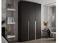 Шкаф распашной Мори-5 Черный