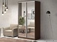 Шкаф-купе Альберто-2
