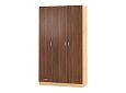 Шкаф распашной Рио-3.2