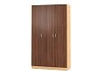 Шкаф распашной Рио-3.1