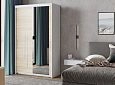 Шкаф-купе Валмиера-3
