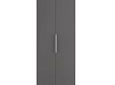Шкаф распашной Калифорния-2 Графит